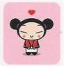 pucca