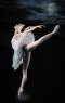 cisne
