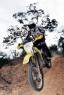 chichipucross