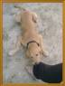 Oddie3