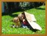 las chicas en el parque de casa