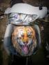 The tiger,the dragon