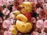 fans de winnie pooh