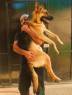 ESTE PERRO ME LO COJO YO EL SENOR NELZY ZUNIGA ALIAS CATOLICO Y NICK DE PENE