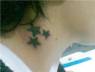 my tatoo