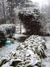 nieva