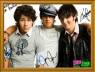 Jonas Brother,s