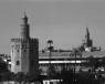 Torre del Oro,Sevilla