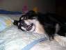 imagen01