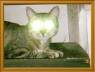 mi gatito