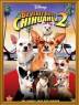 b,h chihuahuas 2