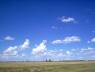 campo argentino