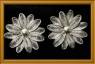 accesorios,aros,mujer,ella,ellas