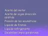Presentacion 43
