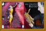DVD MI CRISTO ROTO
