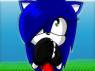 SONICA THE HEDGEHOG