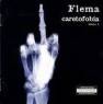 FLEMA