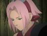 sakura haruno
