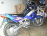 blue 7