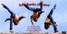 acrobatics,class,clases,de,acrobacias