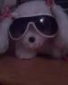 My osito