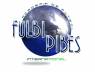logo fulbip,bes
