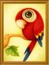 guacamaya tierna