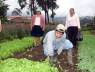 agricultura