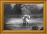 siegfried