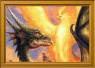 dragon,y,ave,fenix