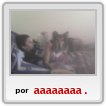 amiga,gala