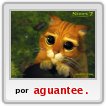 el gato con botas