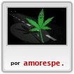 hoja de cannavis sativa paraguaya,la q hai facil