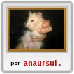 solo soy un raton