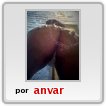 anto