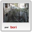 miren yo no escribi eso