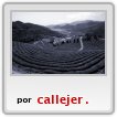 amigo,puto