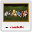 Desperate Housewives III