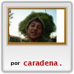 weee,nuevo flog,jajaja