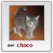 michi
