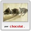 los gatitos