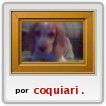 Flopy