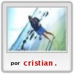 amiga