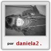 danielita