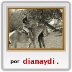 campo