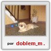 PaNcHiToOoO