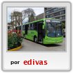 Autobuses de Guate