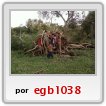 NIOS