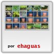 algunas Muestras