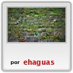 PLantas Ornamentales
